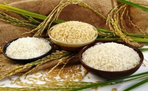 معاملات برنج