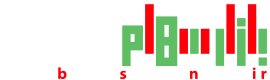 Logo BSNir (1)